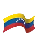 Logo Bandera